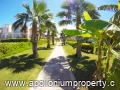 Apartment listing photo in Adonis, Apollonium